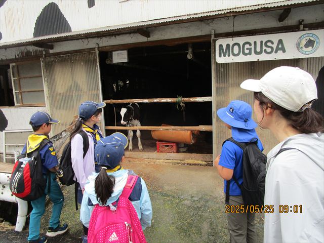 日野2団カブ隊の活動写真その4