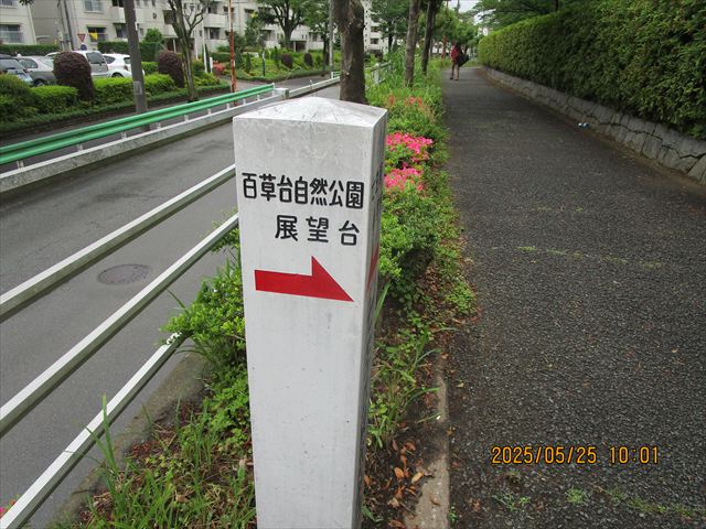 日野2団カブ隊の活動写真その15