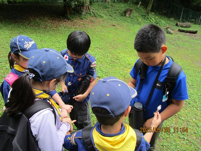 日野2団カブ隊の活動写真その29