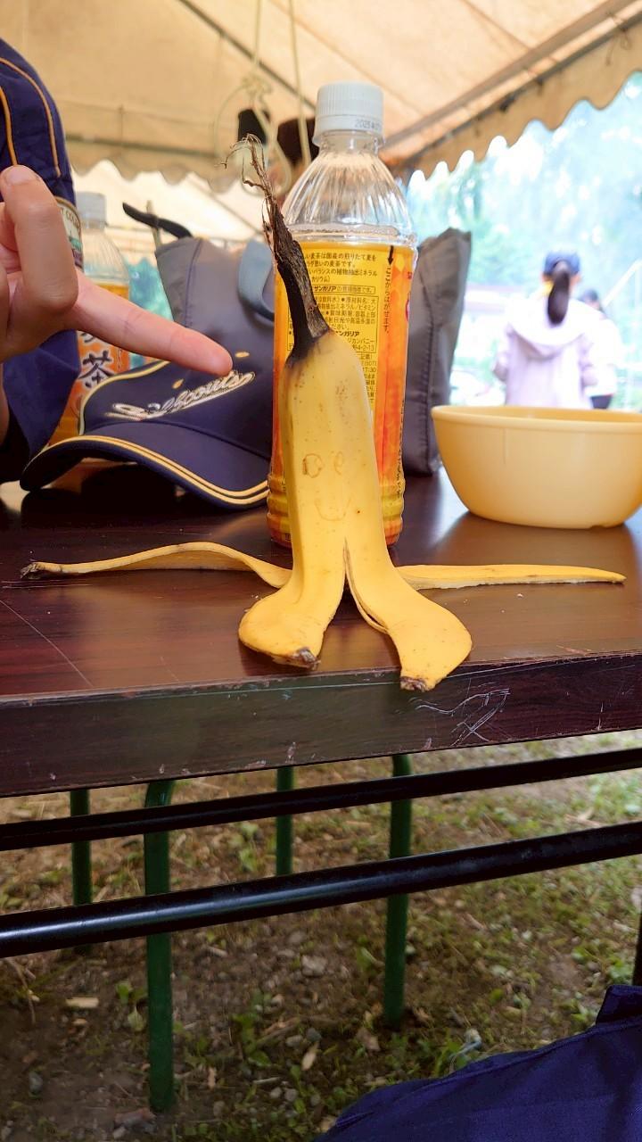 日野2団カブ隊の活動写真その12