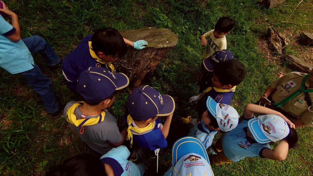 日野2団カブ隊の活動写真その17