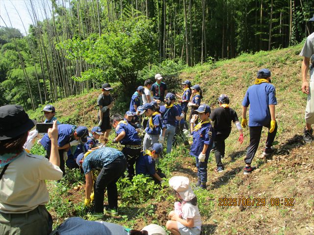 日野2団カブ隊の活動写真その6