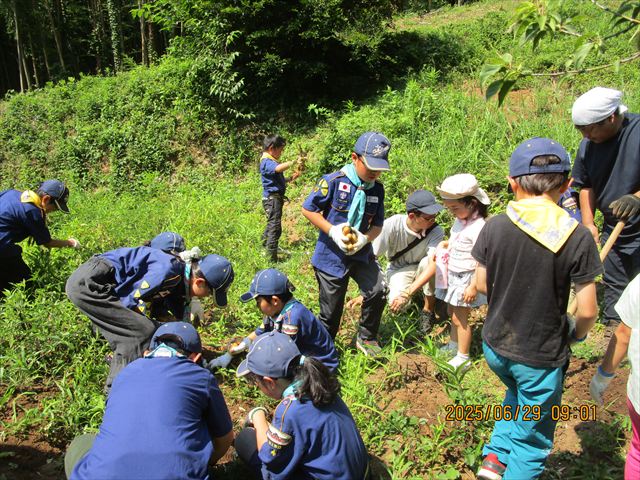 日野2団カブ隊の活動写真その8