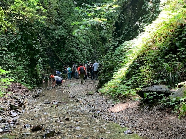 日野2団カブ隊の活動写真その21