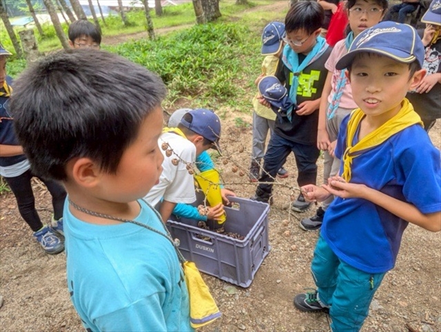 日野2団カブ隊の活動写真その27