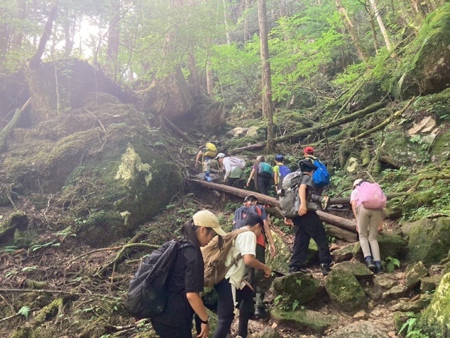 日野2団カブ隊の活動写真その32