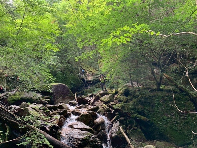日野2団カブ隊の活動写真その33