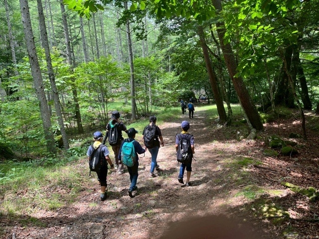 日野2団カブ隊の活動写真その15