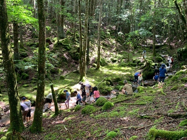日野2団カブ隊の活動写真その19