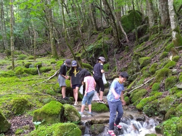 日野2団カブ隊の活動写真その20