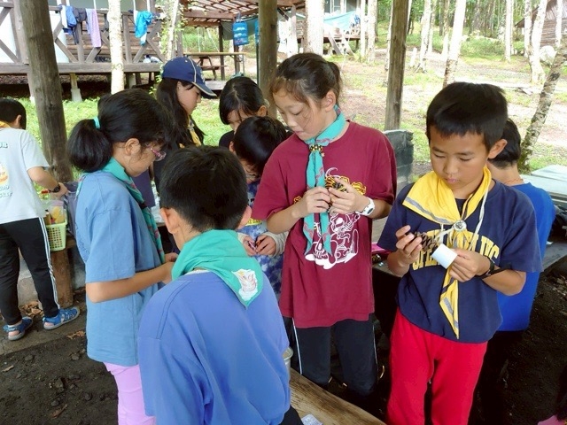 日野2団カブ隊の活動写真その52