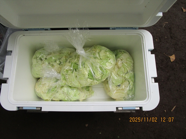 日野2団カブ隊の活動写真その27