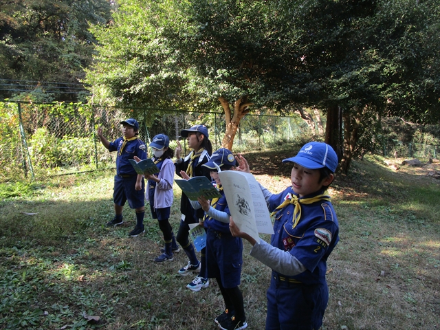 日野2団カブ隊の活動写真その2