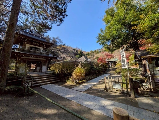 日野2団カブ隊の活動写真その10