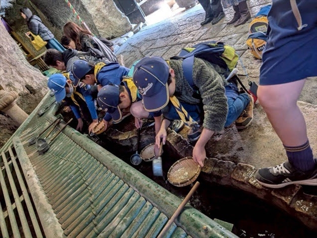 日野2団カブ隊の活動写真その15