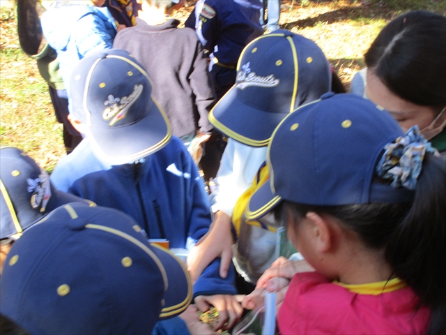 日野2団カブ隊の活動写真その27
