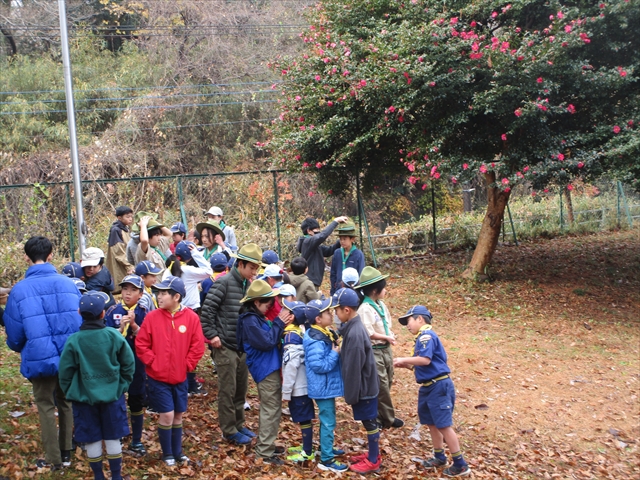日野2団カブ隊の活動写真その5