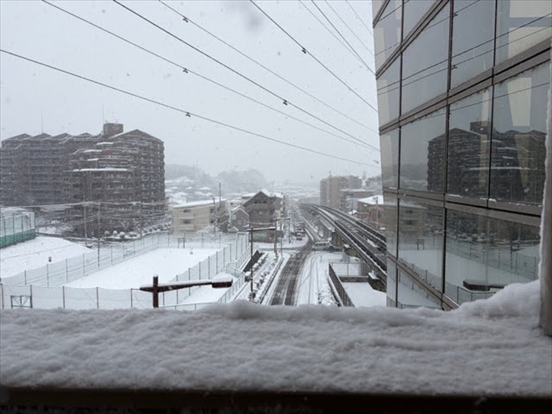 日野2団カブ隊の活動写真その1