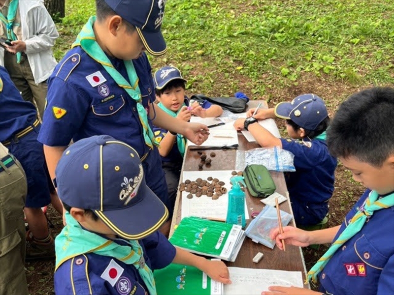 日野2団カブ隊の活動写真その8
