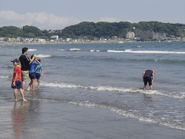 日野2団カブ隊の活動写真その105