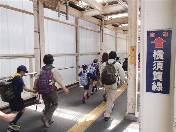 日野2団カブ隊の活動写真その12