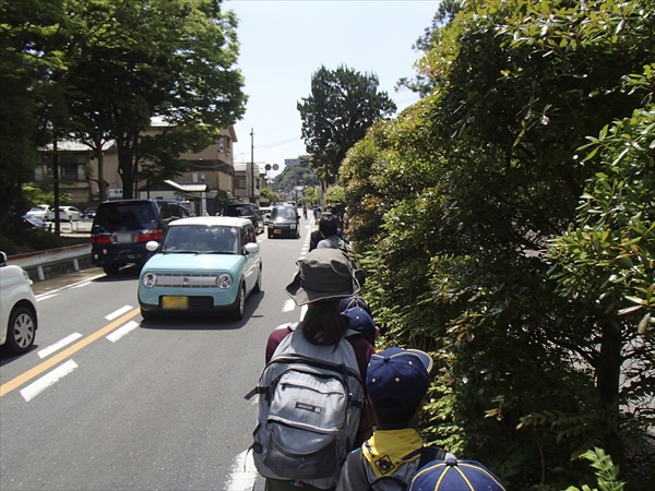 日野2団カブ隊の活動写真その24