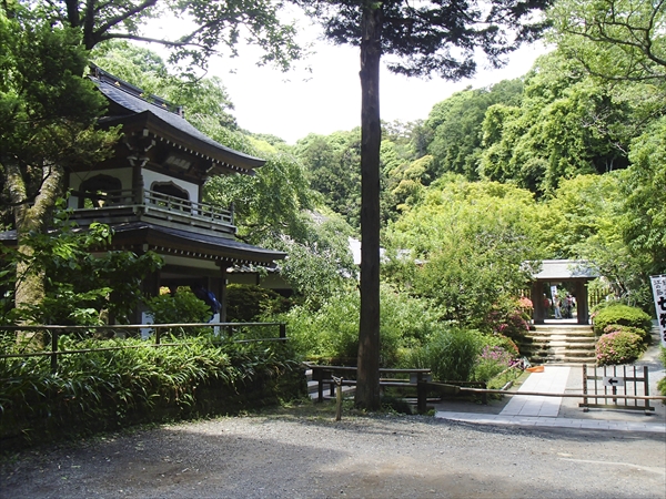 日野2団カブ隊の活動写真その30