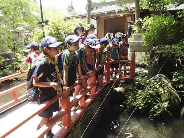 日野2団カブ隊の活動写真その64