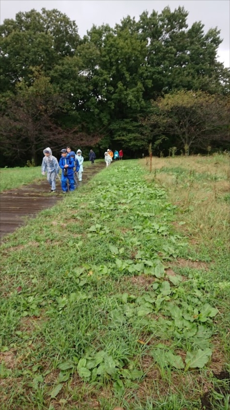 日野2団カブ隊の活動写真その26