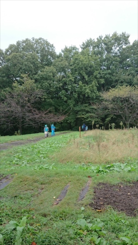 日野2団カブ隊の活動写真その33