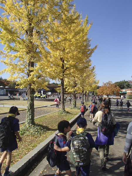 日野2団カブ隊の活動写真その18