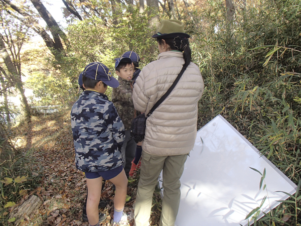 日野2団カブ隊の活動写真その32