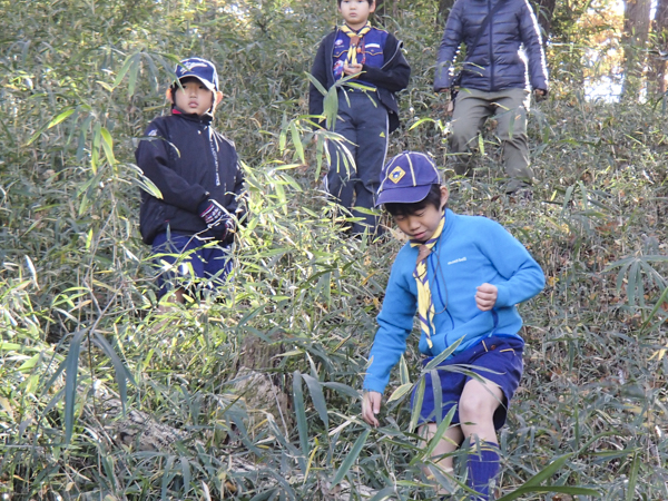 日野2団カブ隊の活動写真その48