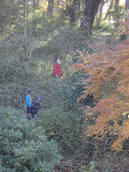 日野2団カブ隊の活動写真その51