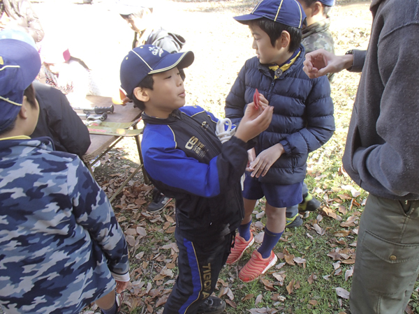 日野2団カブ隊の活動写真その66