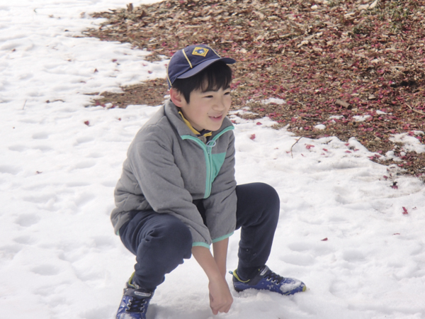 日野2団カブ隊の活動写真その2