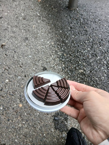 日野2団ローバースカウト活動写真その4