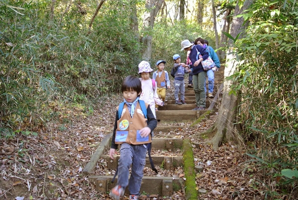 2014年11月23日ビーバー隊の長沼→南陽台→薬科大→平山の散策探検