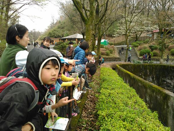 ビーバー隊の多摩動物公園で学習活動