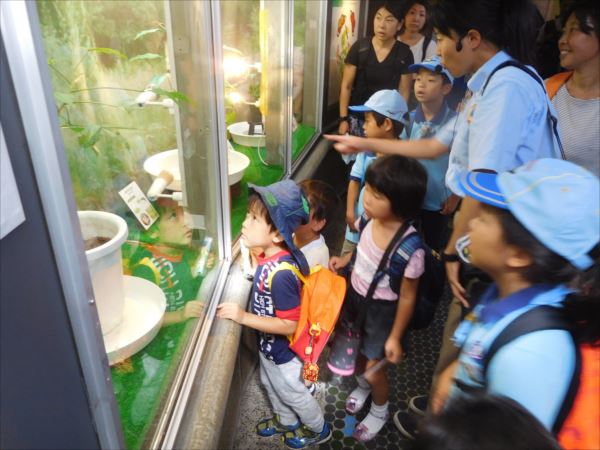 2018年9月16日　ビーバー隊の多摩動物公園「くわしく昆虫」学習