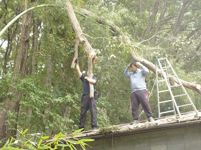 台風15号後片付け