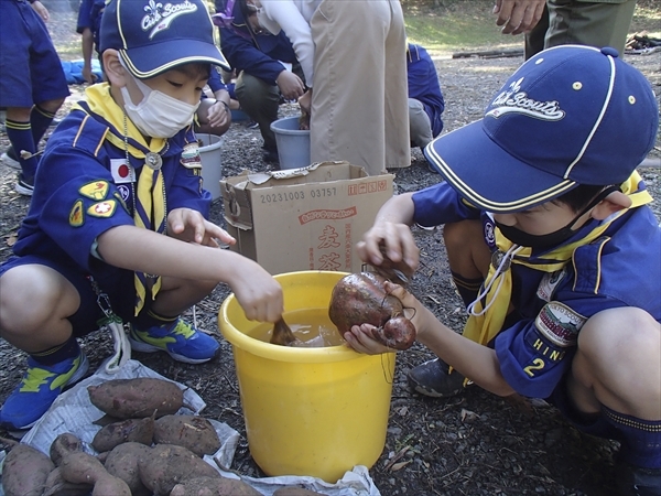 カブ隊の収穫祭(いもパ)