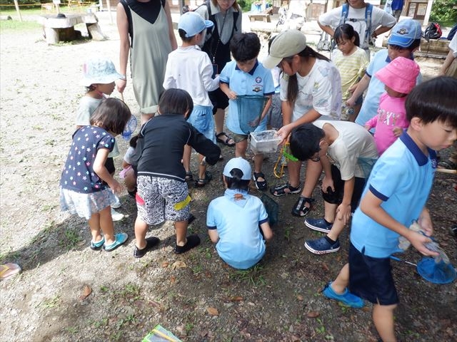 2023年9月10日　ビーバーのカニさんどこどこ カニさんを探せ