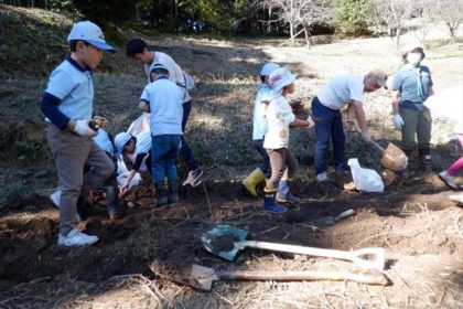 2023年11月19日　ビーバー隊の芋ほり活動