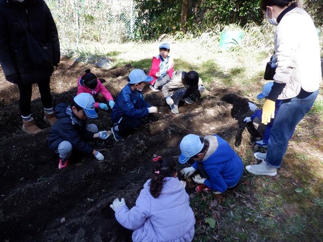 2024年3月10日　ビーバー隊のサツマイモの苗を植えよう＆餅つき