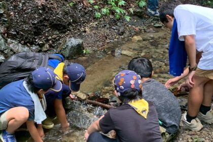 2025年7月6日　カブ隊の今熊山へのハイキング