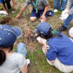 2026年5月31日　『集まれスカウト仲間！』 杉並11団と合同活動